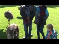 Gede Utariana and Delia with Kangaroo and Emu