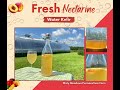 Water Kefir 2nd Ferment with Nectarine