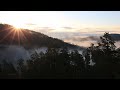 Captivating Sunrise in the Black Hills #sunrise #sunset #mist #fog