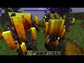 WWW Series Episode 2 Blaze VS Wither No Commentary