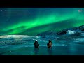 ★50min★Classical Music for a Relaxing Sleep : Sleeping Music, Reading, Meditation, Bed time Music