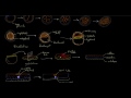 Early embryogenesis - Cleavage, blastulation, gastrulation, and neurulation | MCAT | Khan Academy