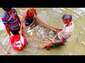 মনমুগ্ধকর মাছ সংগ্রহ করার দৃশ্য দেখুন | Fishing Explore 2024 #fishing #castnets #fishfarming