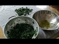 How to Freeze Kale