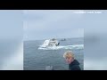 Whale capsizes boat fishing in Portsmouth Harbor off the New Hampshire coast
