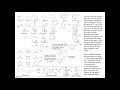 Chapter 10 Free Radicals, lecture 3 of 3