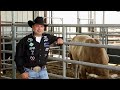 Cody Ohl is raising the son of 3X Bull of the Year, Bushwacker!