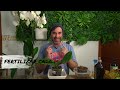 Save your #phalaenopsis orchids: how to transplant, remove the plug and fertilize