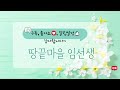 무르지 않고 '아작아작' 너무 맛있어요! '오이김치' 강추 비법 공개합니다!(+알텐바흐 밧드 공구)