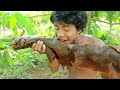 Life In Jungle Find Fruits are food - cooking Recipes Mango