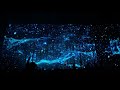 (M83-Midnight City Eric Prydz Private RMX) HOLO 2019 New York NIGHT 3(2/2LAST 55 MINUTES 29-12-19)