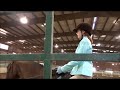 Horse Show!!! 4-20-13 on Sailor