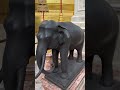 Emerald Buddha Temple. Wat Phra Si Rattana Satsadaram. Bangkok.