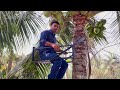 DIY Coconut Tree Climbing Machine