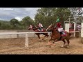 Carrera Millonaria | La Consentida Vs El Gavilan, Carril San Antonio De La Cruz Durango Méx.