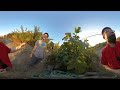 VID 20180112 233811 00 024 beacon food forest private picking