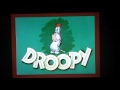 Homesteader Droopy (1954)