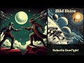 Wild Skies - Full Album