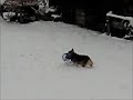 max_snowball.wmv