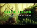 CELTIC FEELING - Composed by Erwan COÏC