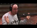 Joe Rogan seeing  Clowns Jesters during DMT