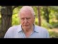 We need IMMEDIATE action to stop extinction crisis, David Attenborough - BBC