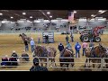 1st Horsepull of the Year Muhlenberg Ag Center January 2024 Bluegrass Horsepullers Association