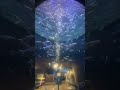 Sharjah aquarium, best place to visit in Sharjah