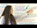 Pancreatitis | Acute and Chronic Pancreatitis Nursing Lecture Symptoms, Treatment, Pathophysiology