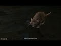 This Rat is my favorite Baldur's Gate 3 NPC