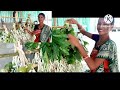 BORO NI Amfwo latha (Silkworm)Bodoland Aijw