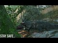 Life of a Deinosuchus on The Official Servers
