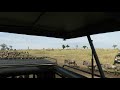 Wildebeest Crossing the Mara River