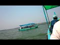 Dolphin caught on video in Goa