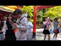 犬山城の下にある神社 Shrine ＠ the Foot of Inuyama Castle #japan  #愛知県  #犬山城 #castle　#Shrine #神社 #japantrip #犬山