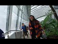 Sky Garden with Beautiful Piano Music / Free Thing to do with family in London
