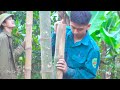 How to build a kitchen from bamboo and weed the garden | Tiểu Ca