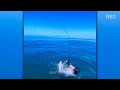 80 Unbelievable IDIOTS in Boats Caught on Camera! #42