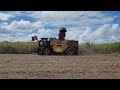 Harvesting Sugar Cane November 2022