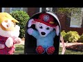 Paw Patrol Snuggle Pups Complete! Best One Hour Toy Learning Video