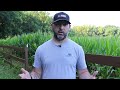 Most Important Fall Food Plot Planting Video To WATCH!