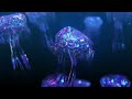 STAY CALM AND ENJOY THE JELLY FISH: 4K Video Crafted for Relaxation and Restful Sleep