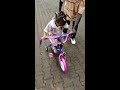 Sofia's new bicycle and first time learning how to ride.