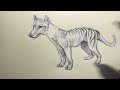 Thylacine Sketch | Traditional Art | Full Length Process