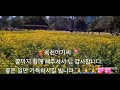 🎷🎺조재영 뽕나발 평창Py 선생님 섹소폰연주🎁 🌷옥천아가씨 💃원곡 황기화🍓