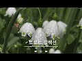 광고없는 신나는 트로트 메들리 2시간 🍂 하루 종일 들어도 좋은 노래 40곡모음🍂트로트 7080 노래모음🍂넘치는 메들리 모음 트로트 메들리 피곤할 때들을 수 있습