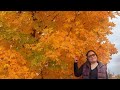 ONTARIO CANADA | AMAZING VIEW AT LITTLE LAKE PARK MIDLAND ONTARIO CANADA | LBraceros#532