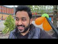 A Day As Balloons Seller On Streets | Business Vlog