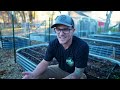 Vego Garden Raised Beds: An HONEST Review After 1 Year!