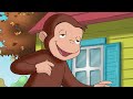 George Loves Popcorn 🐵 Curious George 🐵 Kids Cartoon 🐵 Kids Movies